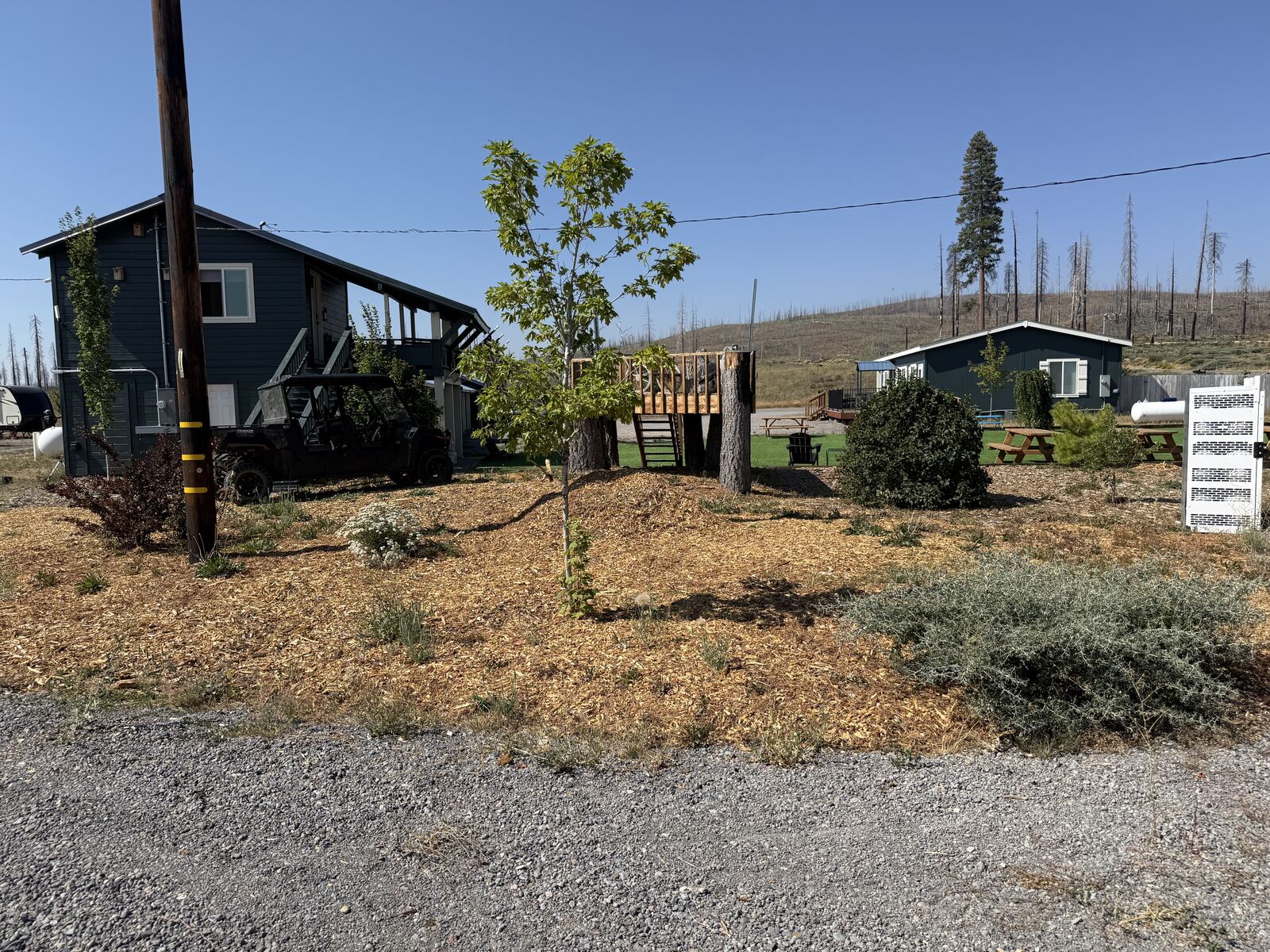 The grounds at Cedar Lodge with a treehouse, picnic tables and a green lawn between the buildings.