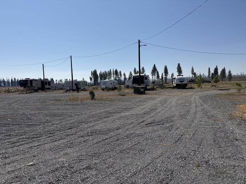Rigs parked along the RV row at Cedar Lodge with pines standing behind them.