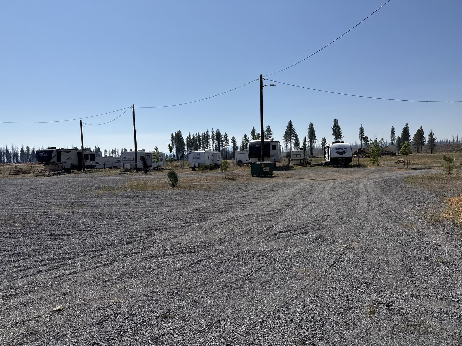 Rigs parked along the RV row at Cedar Lodge with pines standing behind them.